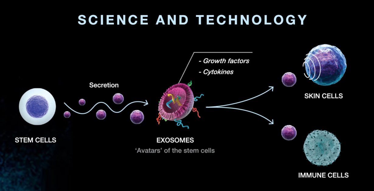 exosome treatment cost